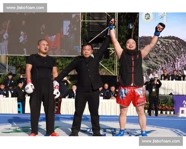 雷雷vs王知亮擂台之争引发格斗理念与实战价值大讨论风波背后思考