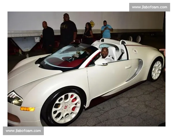 阿尔瓦雷兹对决梅威瑟一战解析拳坛巅峰技术与时代碰撞全景回顾